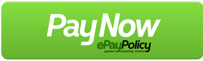 pay-now-button-epay-vfistx_5_orig.png